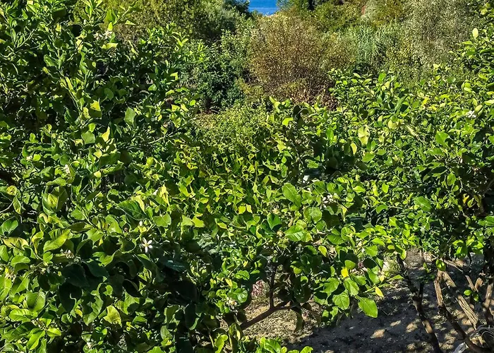 Holiday home House With Pergola And Stunning Sunset On Elba Zanca