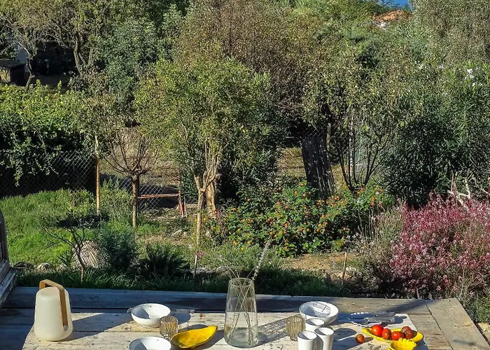 Holiday home House With Pergola And Stunning Sunset On Elba Zanca