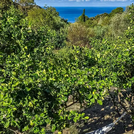 Dom wakacyjny House With Pergola And Stunning Sunset On Elba Zanca