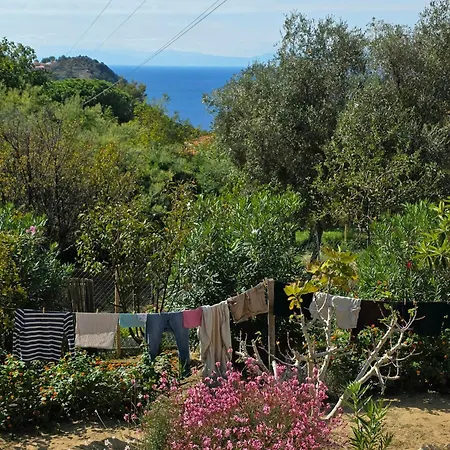 House With Pergola And Stunning Sunset On Elba Casa de Férias